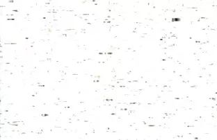 XXX دیکس شوهر محبوب خود را مکید و پاهای خود را به طور گسترده گسترش داد فیلمسکسی زوری