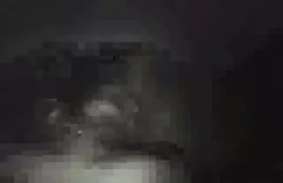XXX دختر کمربندهای فیلم سکس زوریxnxx شخص و گربه را که روی صورتش نشسته بود گره زد